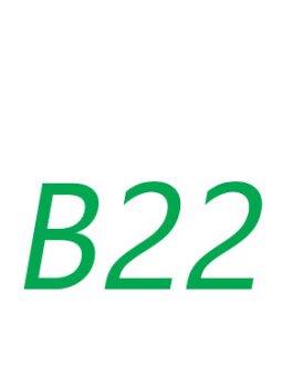 B22 Sockel